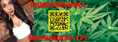 дмт Кинель