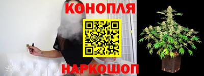 дмт Кинель