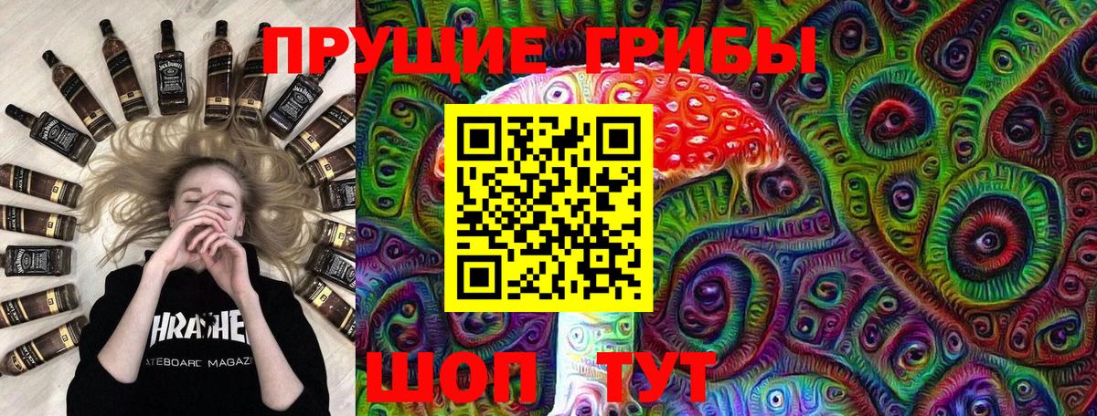 Псилоцибиновые грибы прущие грибы Кириши