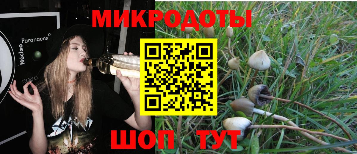 Кириши  Псилоцибиновые грибы мицелий  Вход с VPN 